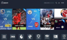 91看电视直播源论坛,揭秘热门直播平台资源汇总